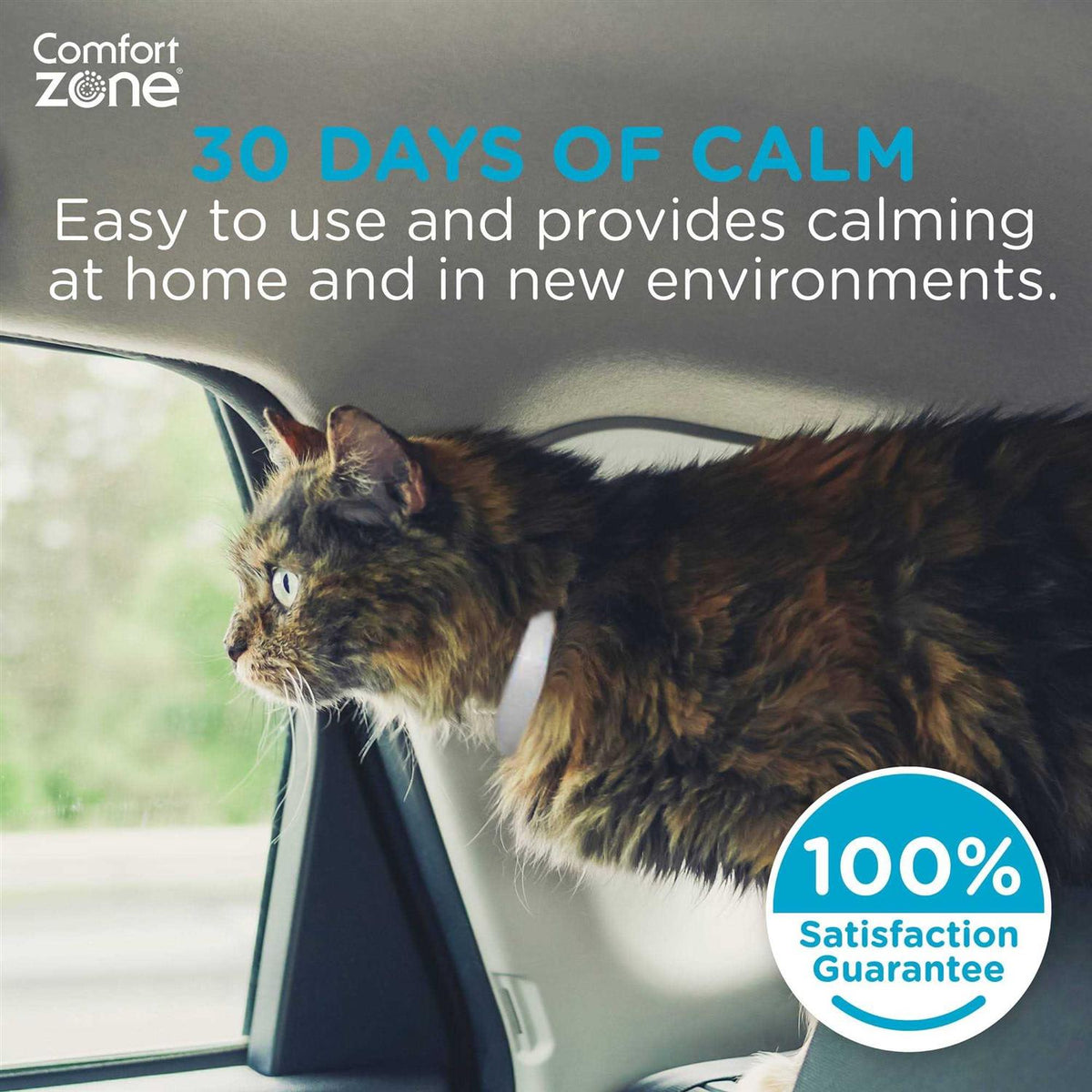 Cat Calming Collar O924799