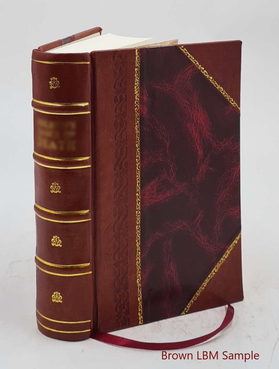 Leather Bound Book E721302