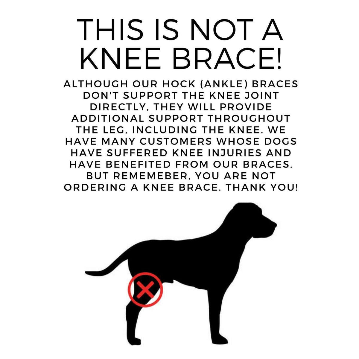 Dog Rear Leg Hock Joint Compression Wrap J449