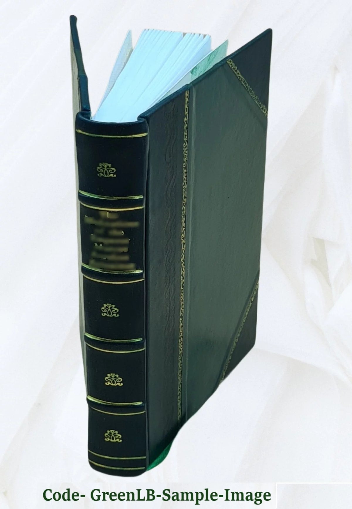 Elektro-Homoeopathie Grundsätze einer neuen Wissenschaft 1883 Leather Bound J1672