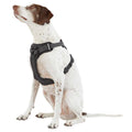 Reflective Dog Harness C338929