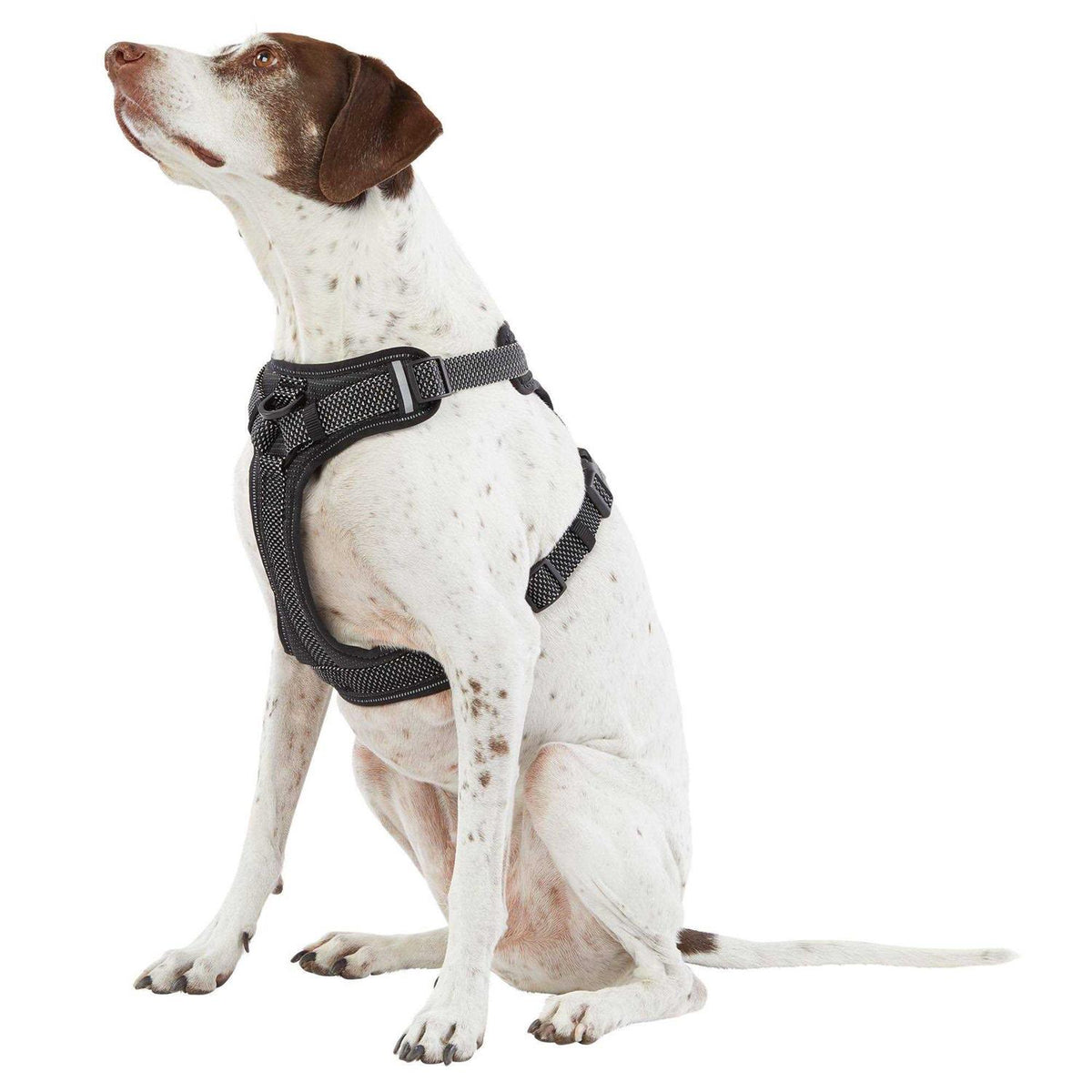 Reflective Dog Harness C338929