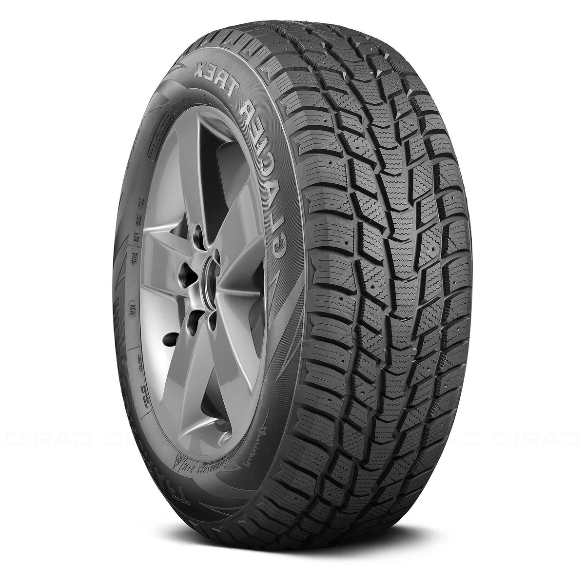 Winter Passenger Tire T5802