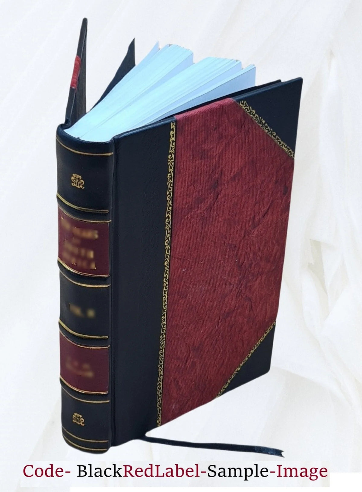 Elektro-Homoeopathie Grundsätze einer neuen Wissenschaft 1883 Leather Bound J1672